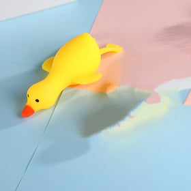 Duck Decompression Squeeze Toy